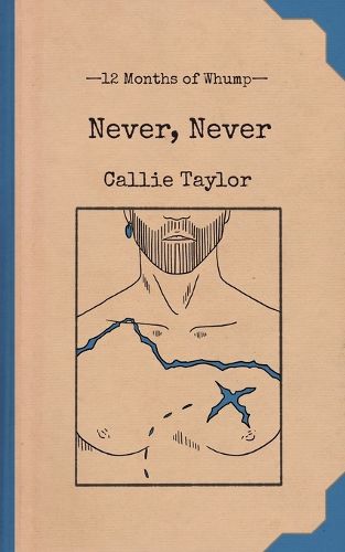 Cover image for Never, Never
