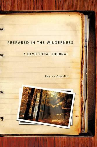 Cover image for Prepared in the Wilderness