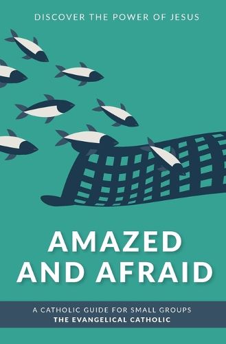 Cover image for Amazed and Afraid