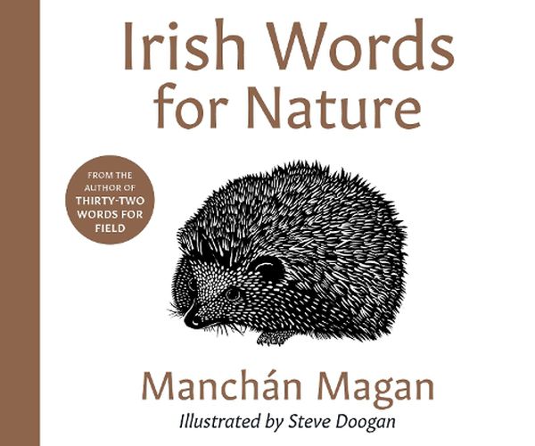 Cover image for Irish Words for Nature