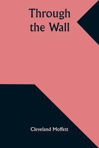 Cover image for Through the Wall