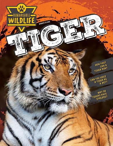 Cover image for Tiger