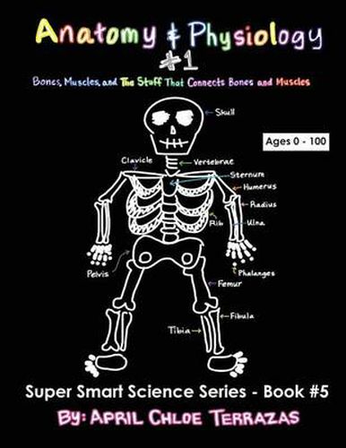 Cover image for Anatomy & Physiology Part 1: Bones, Muscles, and the Stuff That Connects Bones and Muscles