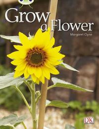 Cover image for Bug Club Independent Non Fiction Reception Red C Grow a Flower