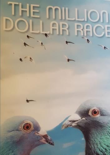 Cover image for The Million Dollar Race