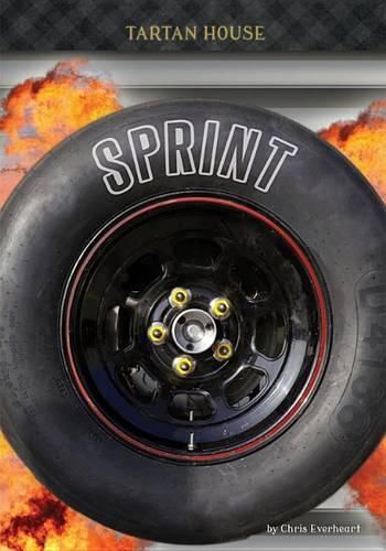 Cover image for Sprint