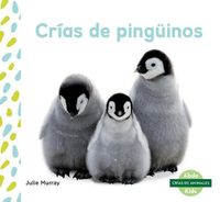 Cover image for CriAs De PinguInos / Penguin Chicks