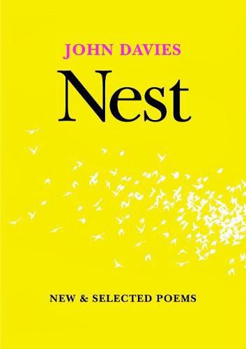 Cover image for Nest: New and Selected Poems