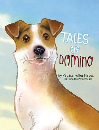 Cover image for Tales of Domino