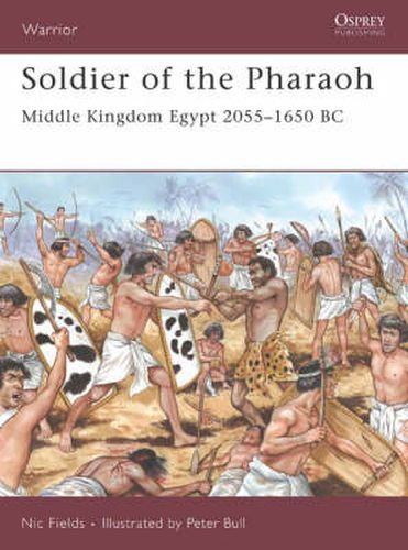 Cover image for Soldier of the Pharaoh: Middle Kingdom Egypt 2055-1650 BC