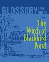 Cover image for The Witch of Blackbird Pond Glossary and Notes