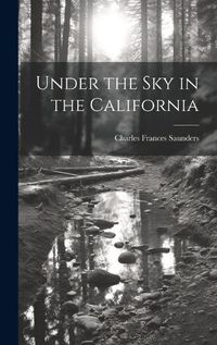 Cover image for Under the Sky in the California