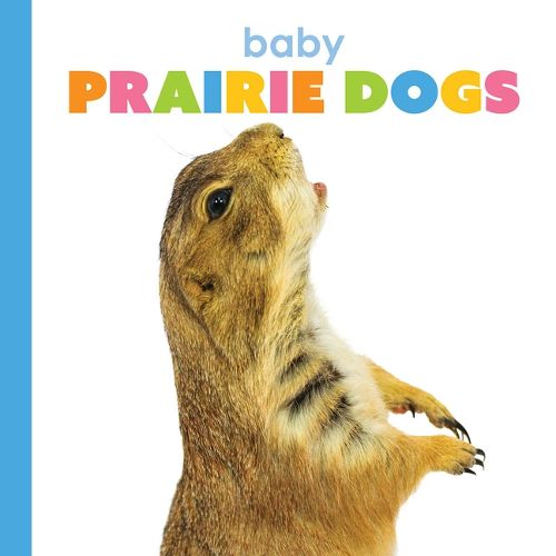 Cover image for Baby Prairie Dogs