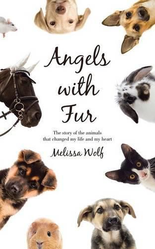 Cover image for Angels with Fur