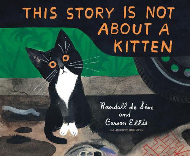 Cover image for This Story Is Not About a Kitten