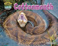 Cover image for Cottonmouth