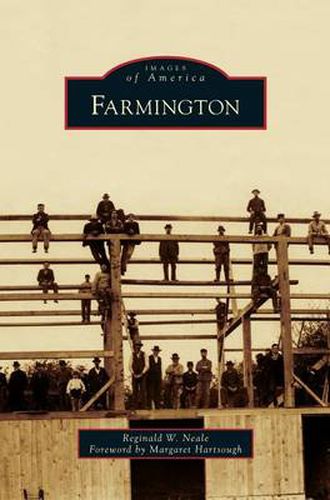 Cover image for Farmington