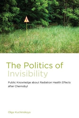 Cover image for The Politics of Invisibility