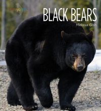 Cover image for Black Bears