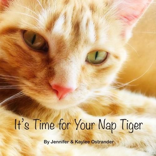 Cover image for It's Time for Your Nap Tiger