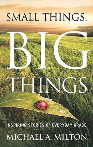 Small Things, Big Things: Inspiring Stories of Everyday Grace