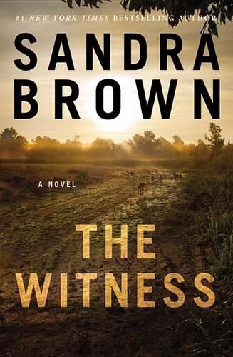 Cover image for The Witness
