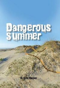 Cover image for Dangerous Summer