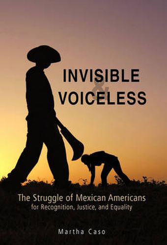 Invisible and Voiceless