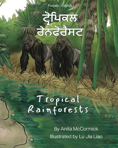 Cover image for Tropical Rainforests (Punjabi-English)