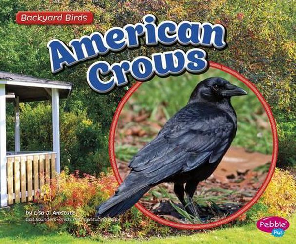 Cover image for American Crows