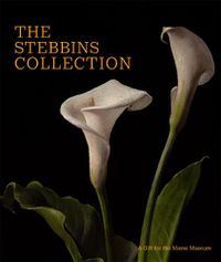 Cover image for The Stebbins Collection: A Gift for the Morse Museum