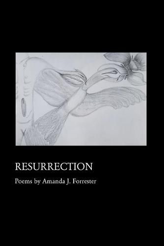 Cover image for Resurrection