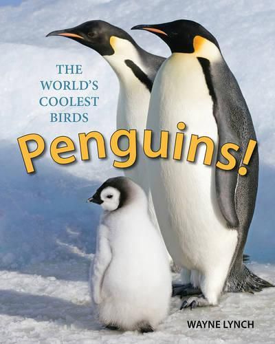 Penguins! The World's Coolest Birds