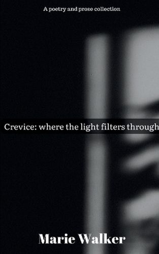 Cover image for Crevice: where the light filters through