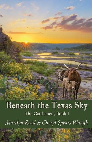 Cover image for Beneath the Texas Sky
