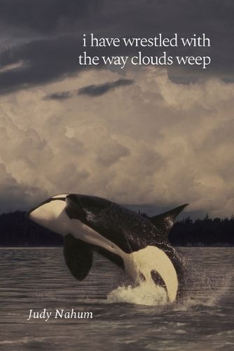 Cover image for i have wrestled with the way clouds weep