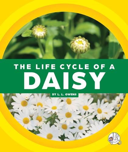 Cover image for The Life Cycle of a Daisy