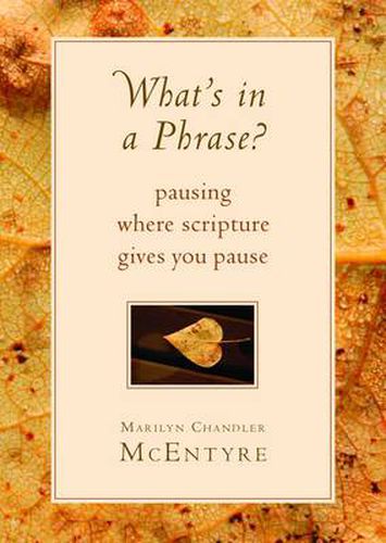 Cover image for What's in a Phrase?: Pausing Where Scripture Gives You Pause