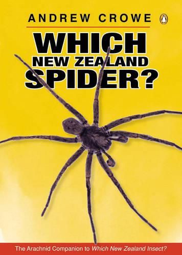 Cover image for Which New Zealand Spider?