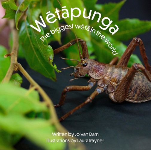 Cover image for Wetapunga
