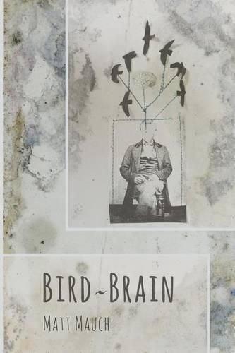 Cover image for Bird Brain