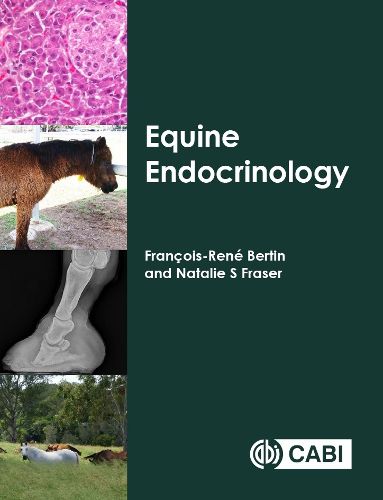 Cover image for Equine Endocrinology
