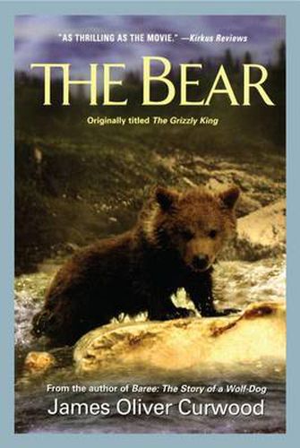 Cover image for Bear