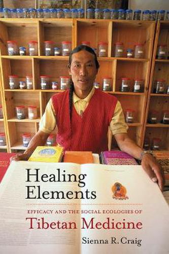 Cover image for Healing Elements: Efficacy and the Social Ecologies of Tibetan Medicine