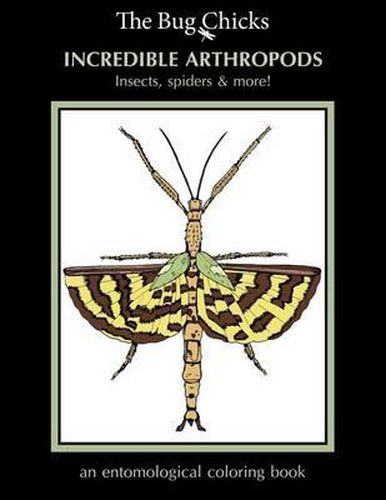 Incredible Arthropods: Insects, spiders & more!