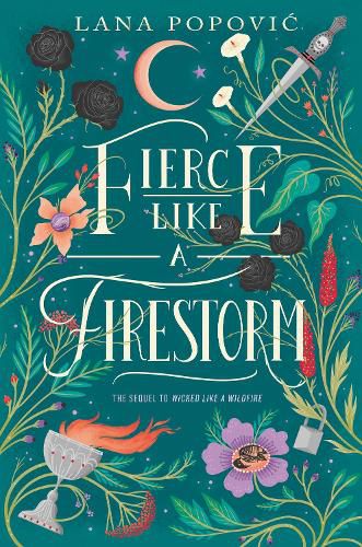 Cover image for Fierce Like a Firestorm