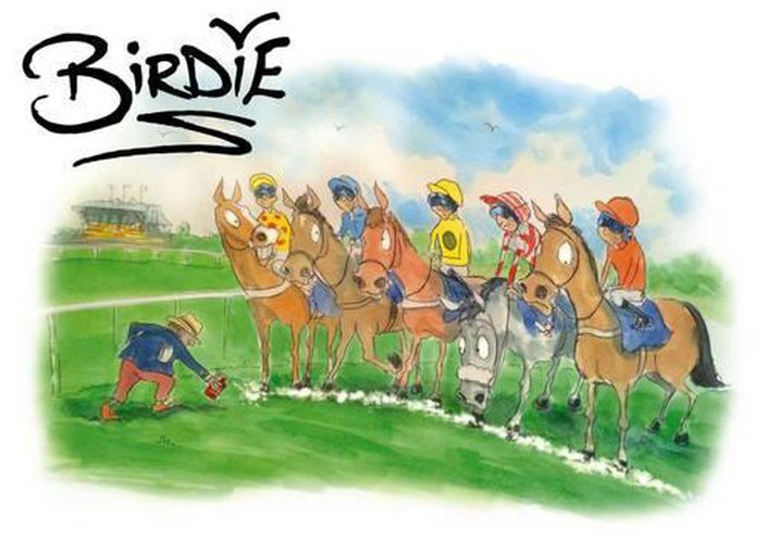 Cover image for Birdie: The Best of Birdie