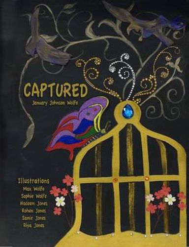 Cover image for Chasing Butterflies: Captured