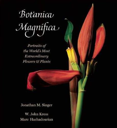 Cover image for Botanica Magnifica: Portraits of the World's Most Extraordinary Flowers and Plants