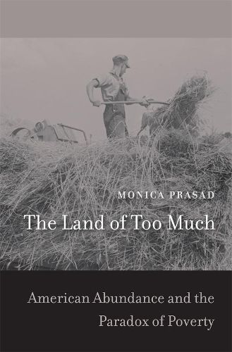 Cover image for The Land of Too Much: American Abundance and the Paradox of Poverty